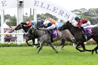 Contessa Vanessa (NZ) winning the Group 2 Eight Carat Classic and fourth leg of the NZB Filly of the Year Series. Photo: Trish Dunell